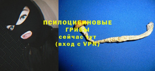 apvp Алексеевка