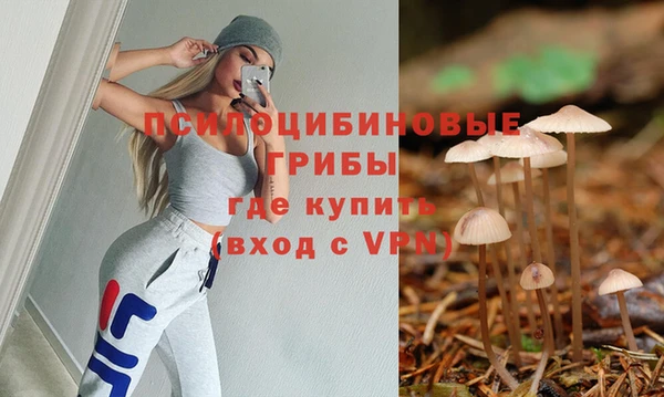 apvp Алексеевка