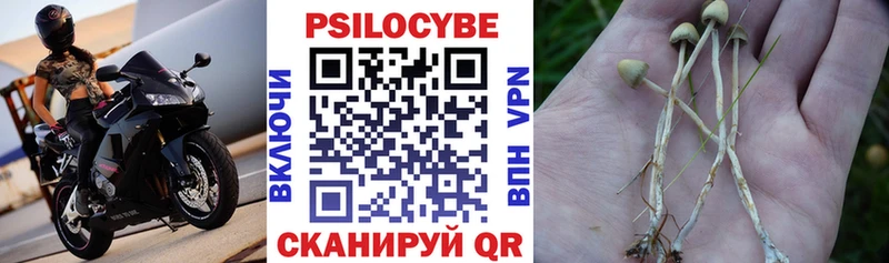Галлюциногенные грибы GOLDEN TEACHER  Купить  Каргополь 