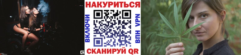 Купить  Каргополь  Канабис ГИДРОПОН 